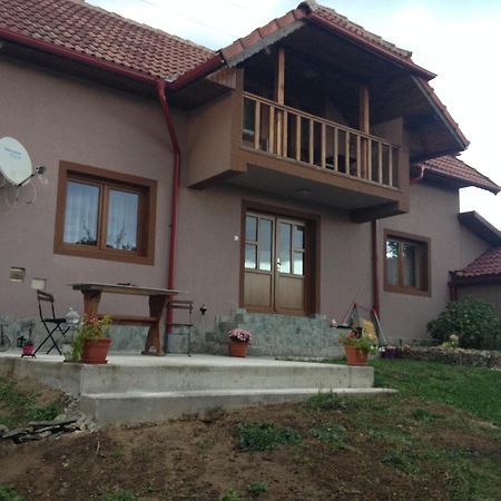 Casa Darius Villa Novaci-Străini Екстериор снимка
