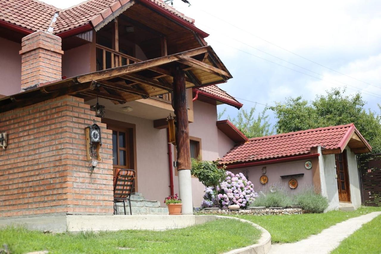 Casa Darius Villa Novaci-Străini Екстериор снимка