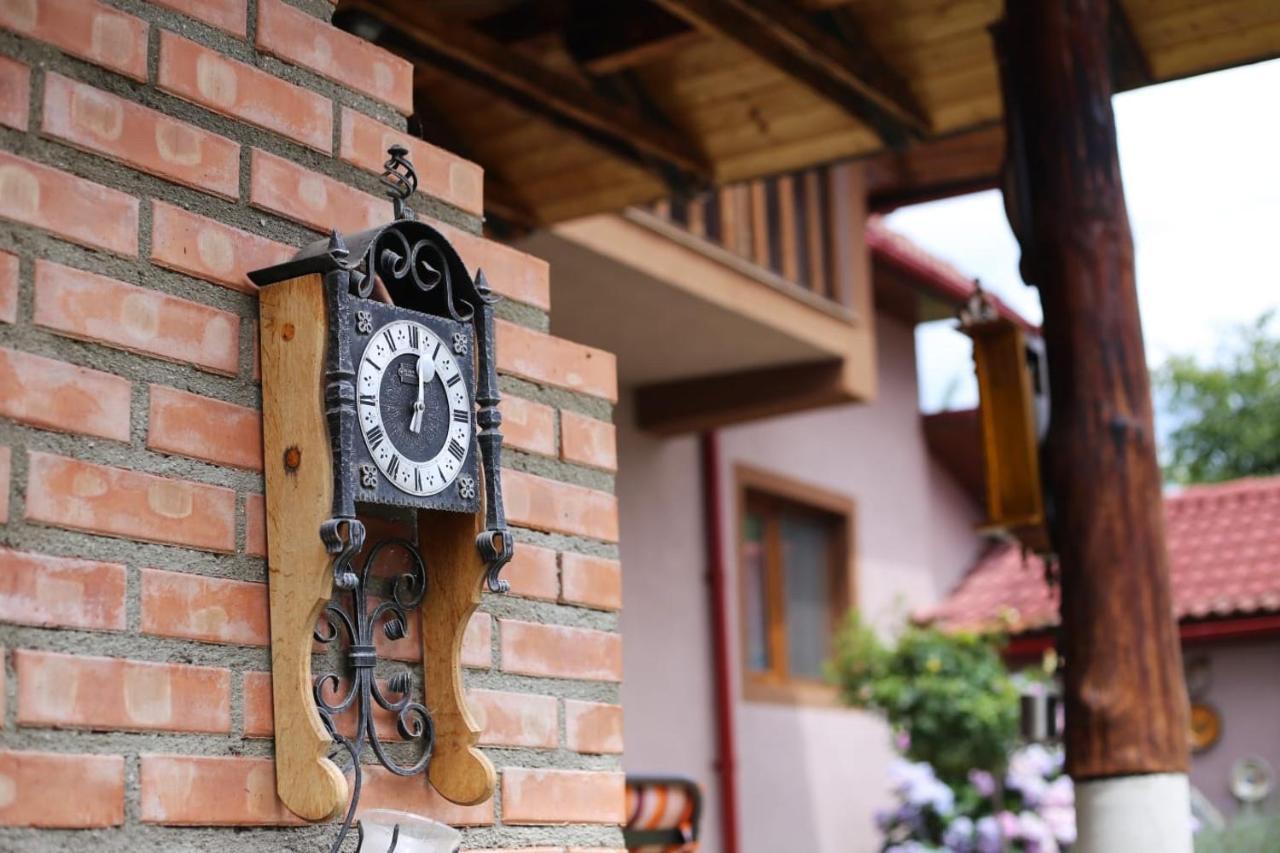 Casa Darius Villa Novaci-Străini Екстериор снимка