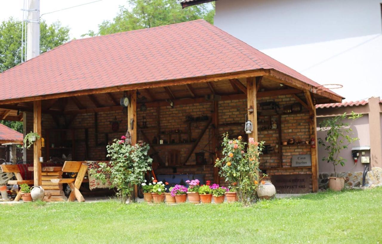 Casa Darius Villa Novaci-Străini Екстериор снимка