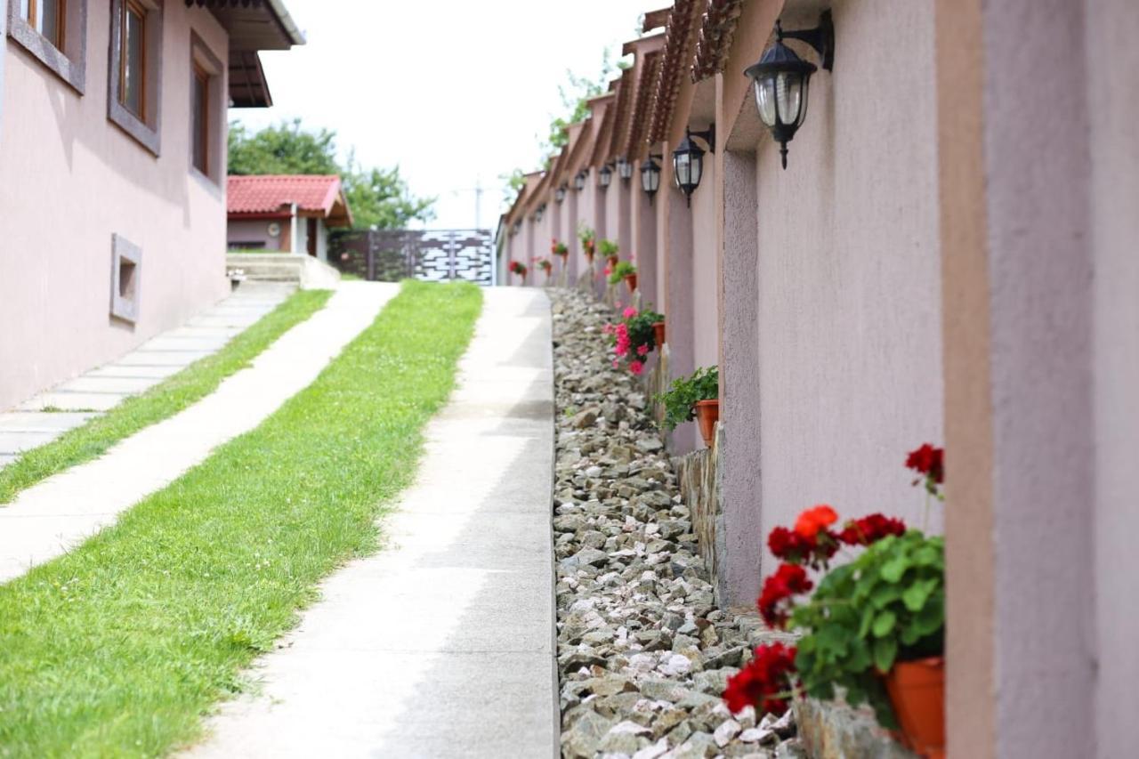 Casa Darius Villa Novaci-Străini Екстериор снимка