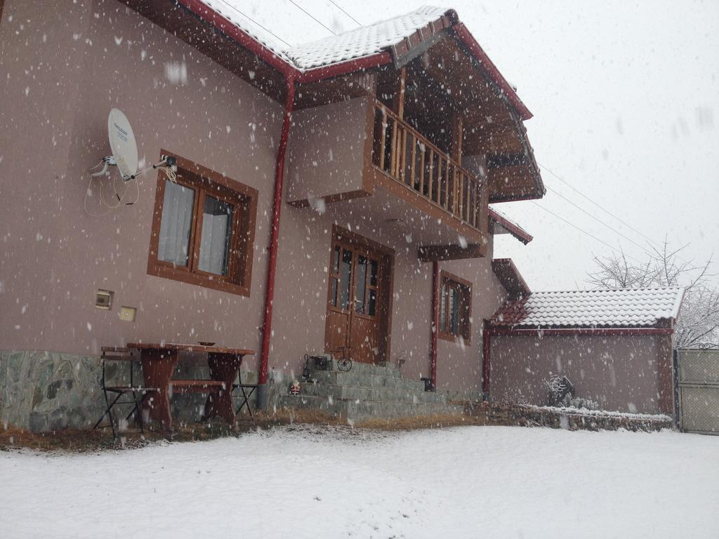 Casa Darius Villa Novaci-Străini Екстериор снимка